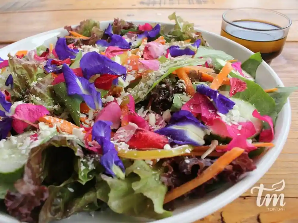 Img 9872 1 1024x768 1