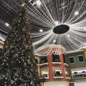 Christmas tree evia 1024x1024 1